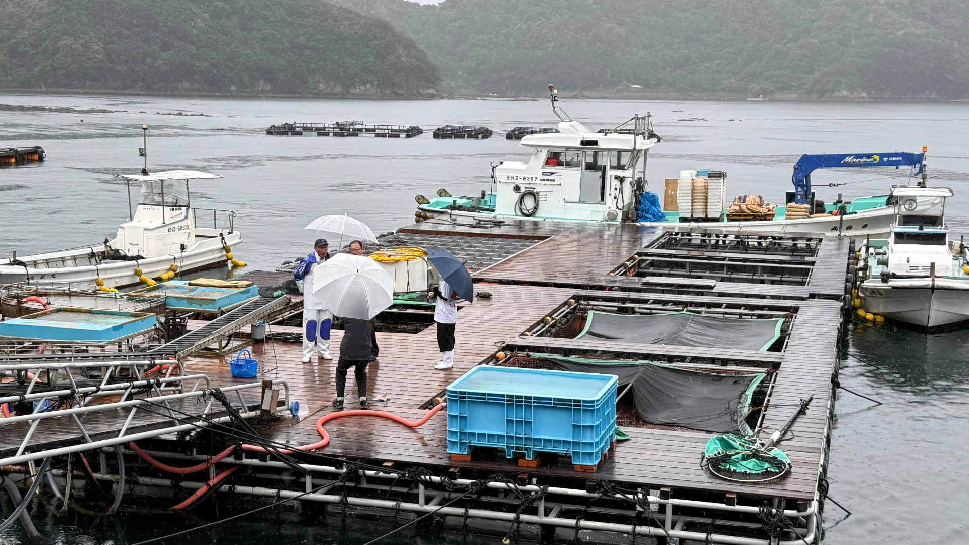 宇和島の養殖場で、いけすや作業船を見学する様子